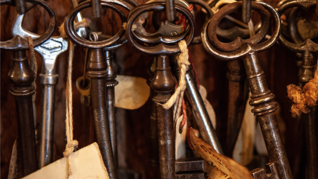 Arielle de la Tour d'Auvergne